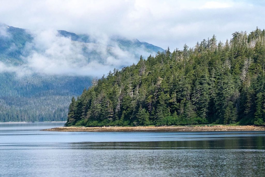 tongass