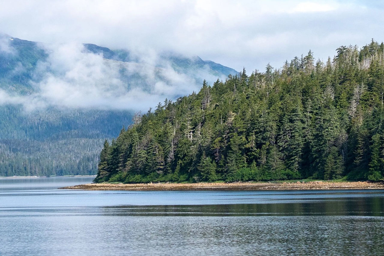 tongass