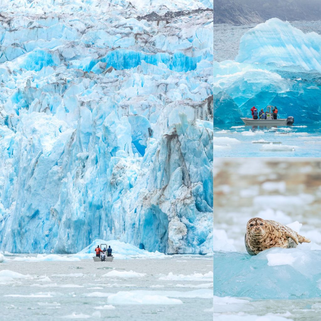 Glacial Expedition