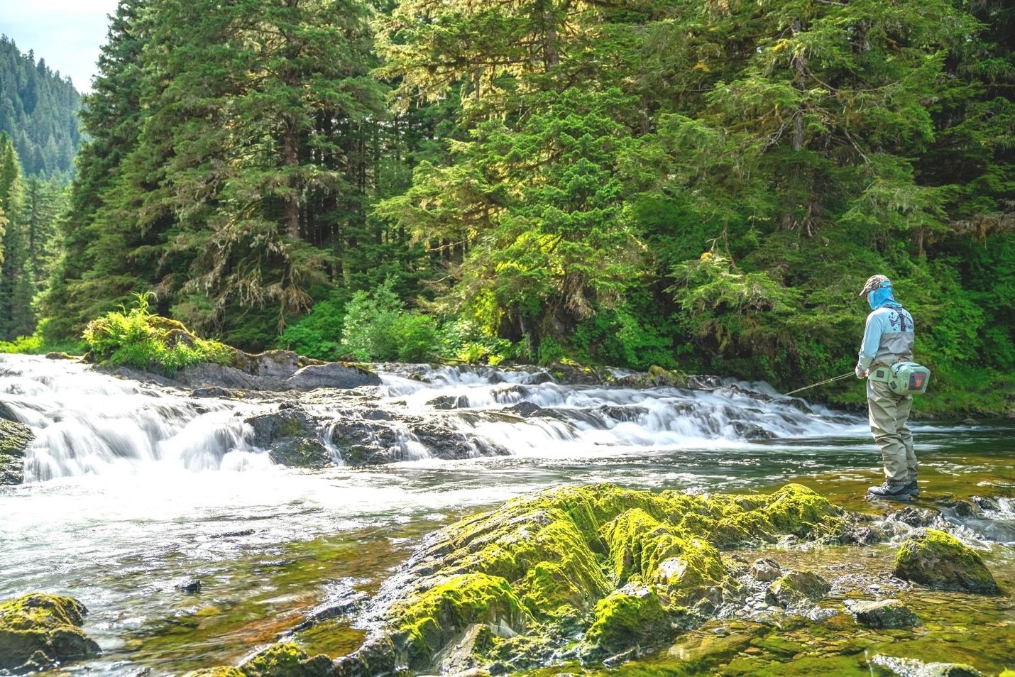 Spring Awakening in Alaska: Waterfalls, Wildlife, and Why May & June Are the Secret Season to Cruise the Tongass