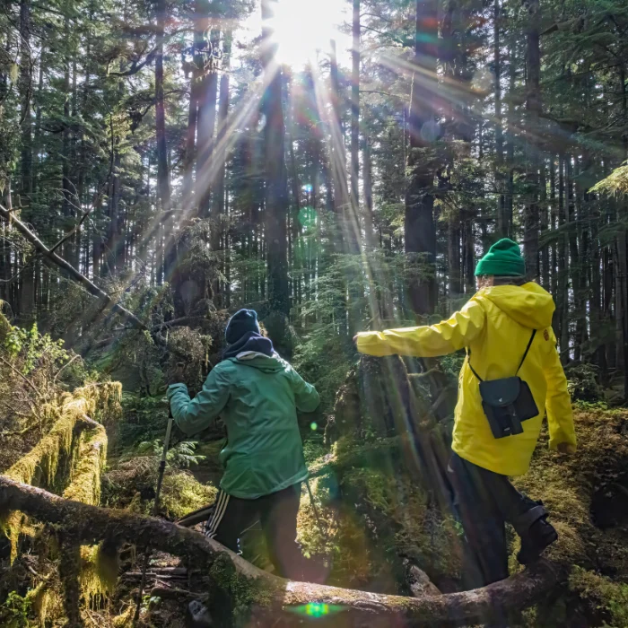 The+Boat+Company+Alaska+Best+Cruise+Line+Small+Ship+Forest+Hike+Family+2.png