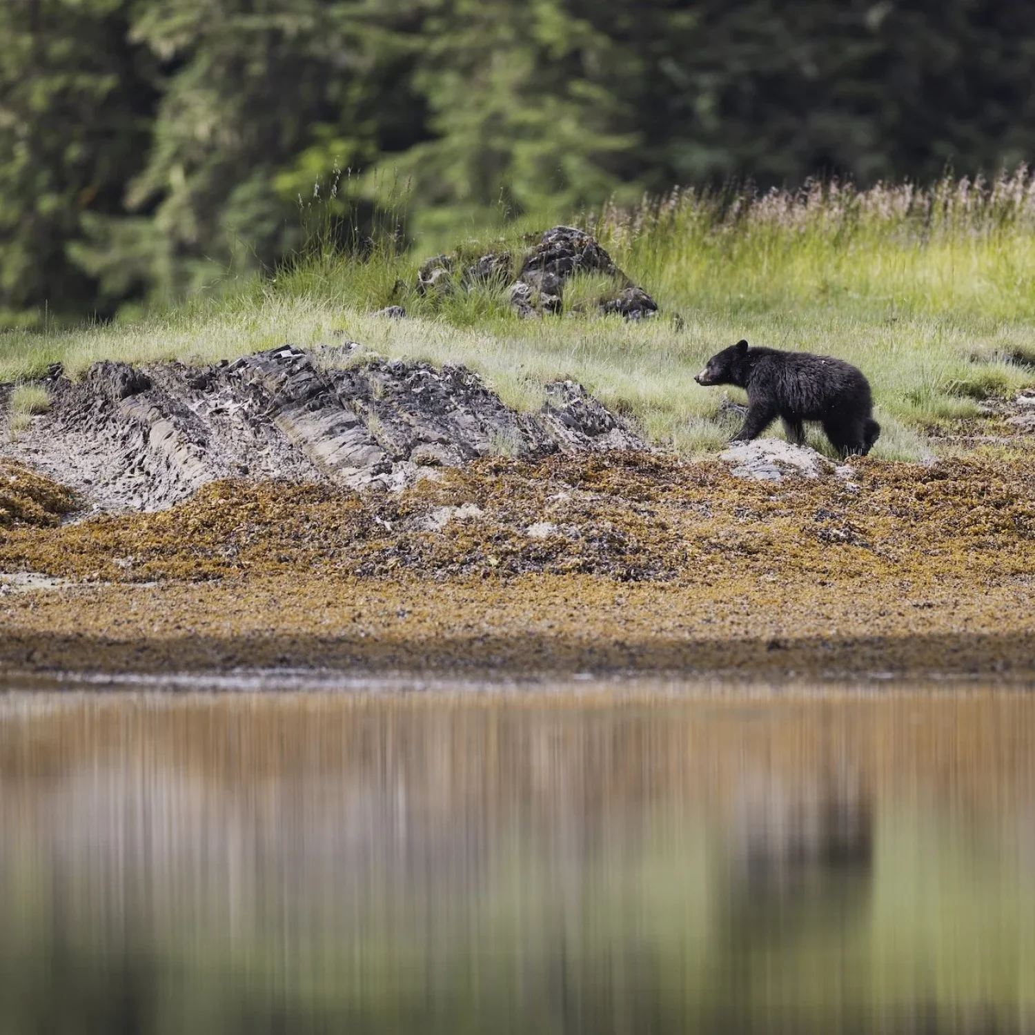 The+Boat+Company+Why+Small+Ship+Cruise+Alaska.jpg